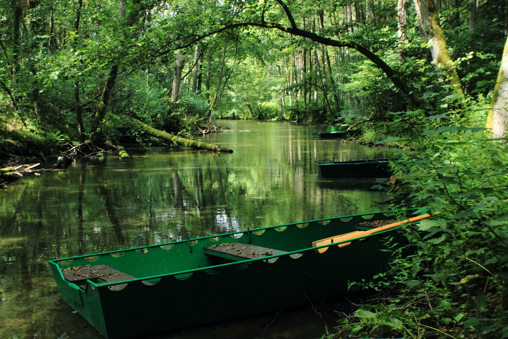 Nad rzeki leśne – Fotowędrownik