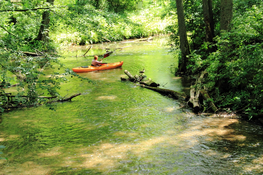 Nad rzeki leśne – Fotowędrownik